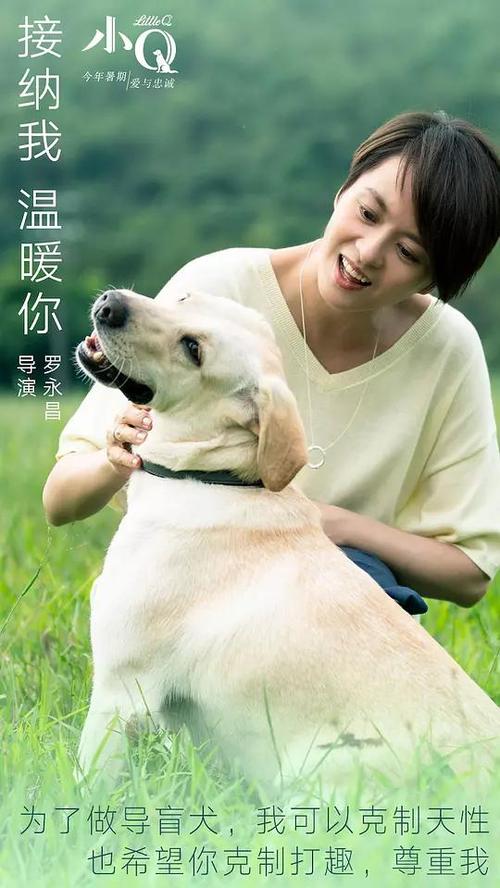 阿姆斯特丹自由大学Economics Degree Certificate